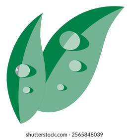 Drawing of a leaf drawn on a white background. Vector leaf and illustration leaf. Leaf icon