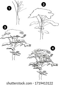 Drawing learn step by step tutorial techniques plants set with vegetables fruits flowers trees vegetation for kids workbook isolated background. Vector illustration