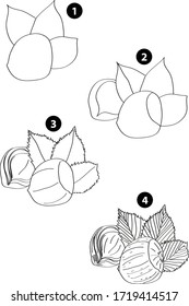 Drawing learn step by step tutorial techniques plants set with vegetables fruits flowers trees vegetation for kids workbook isolated background. Vector illustration hazelnut