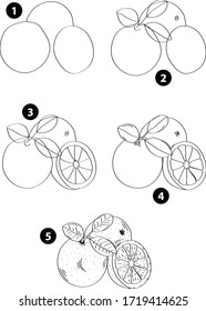 Drawing learn step by step tutorial techniques plants set with vegetables fruits flowers trees vegetation for kids workbook isolated background. Vector illustration orange