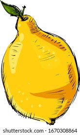 Dibujo de limón, ilustración, vector sobre fondo blanco.