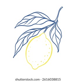 A drawing of a lemon with a leaf on it. The drawing is blue and yellow. The lemon is shown in a stylized way, with the leaf and stem also drawn in a stylized way