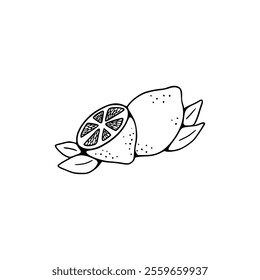 A drawing of a lemon with leaves