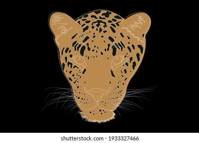 Drawing leopard  Leopard head full face  Simple linear drawing leopard  Wild animal