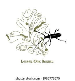 Drawing of a lesser oak barbel on an oak leaf. Vector forest beetle logo