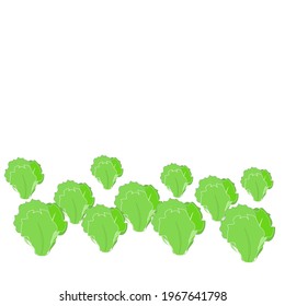 Drawing Lettuce vegetables,green leaves isolate on white background.For your text. Concept healthy  ,strong .