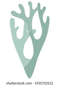 Drawing of lichen deer moss in two colors on a white background logo icon