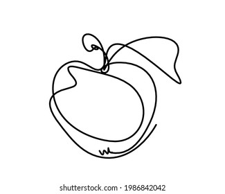 Drawing line apple on the white background. Vector