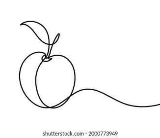 Albaricoque de línea de dibujo (melocotón, nectarina, ciruela) sobre el fondo blanco. Vector