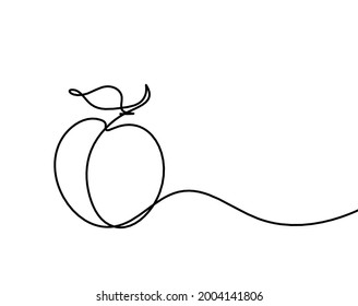 Drawing line apricot (peach, nectarine, plum) on the white background. Vector