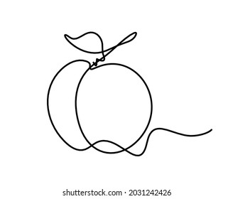 Drawing line apricot (peach, nectarine, plum) on the white background. Vector