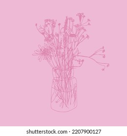 drawing Line art Floral with soft color background