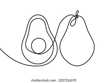 Drawing line avocado on the white background. Vector