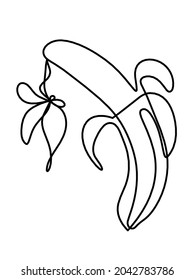Drawing line banana with butterfly on the white background. Vector