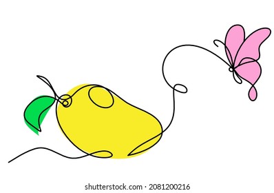 Drawing line color mango with butterfly on the white background. Vector