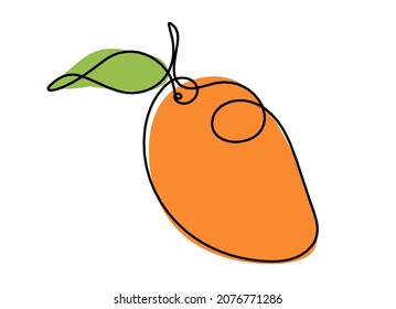 Drawing line color mango on the white background. Vector