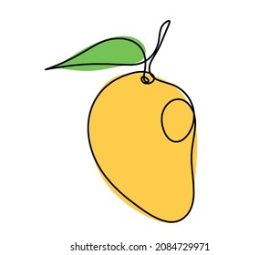 Drawing line color mango on the white background. Vector