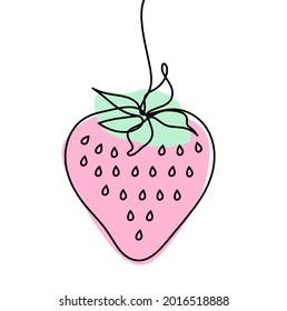 Drawing line of color strawberry on the white background. Vector