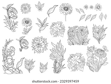 Blumenreihenset für Farbseiten