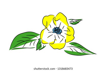 Drawing the line of flower