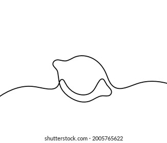 Drawing line lemon on the white background. Vector