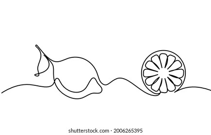 Drawing line lemon on the white background. Vector