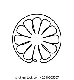 Drawing line lemon on the white background