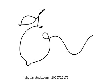 Drawing line lemon on the white background