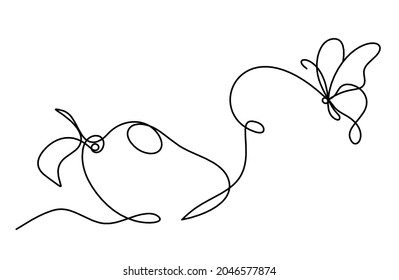 Drawing line mango with butterfly on the white background. Vector