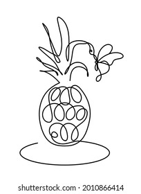 Drawing line pineapple and butterfly  on the white background. Vector