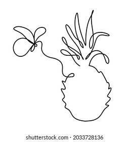 Drawing line pineapple and butterfly  on the white background. Vector