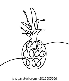 Drawing line pineapple on the white background. Vector