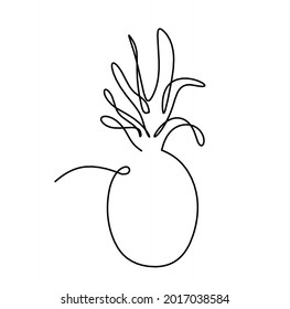 Ananas auf weißem Hintergrund zeichnen Vektorgrafik