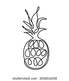 Drawing line pineapple on the white background. Vector
