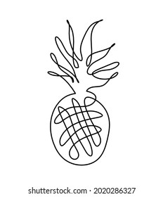 Drawing line pineapple on the white background. Vector