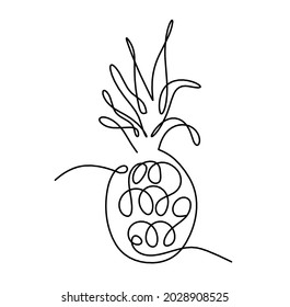 Ananas auf weißem Hintergrund zeichnen Vektorgrafik