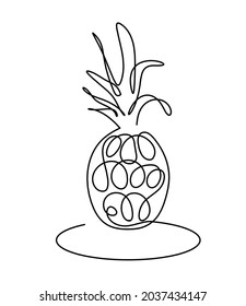 Drawing line pineapple on the white background. Vector