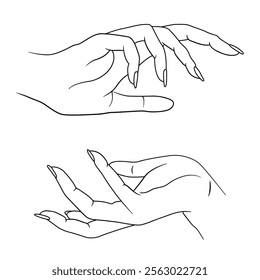 drawing linear female hand astrology