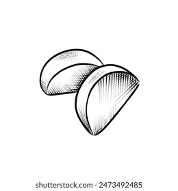 línea de dibujo. línea de arte - ajo, clavos. Vector minimalista