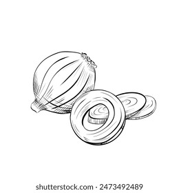 drawing lines. art line - onion, cut into rings. Vector minimalistic