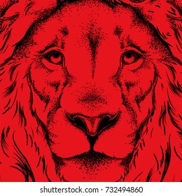 Drawing of a lion's head. Graphic design of the cover. Template for registration. Vector illustration