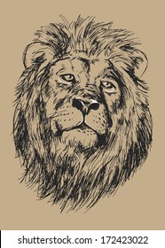 drawing lion's head - vector illustration