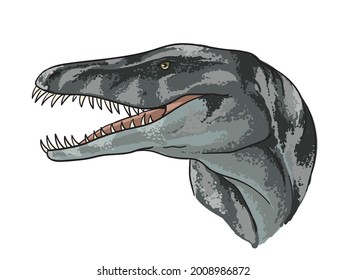 drawing liopleurodon head, art.illustration, vector