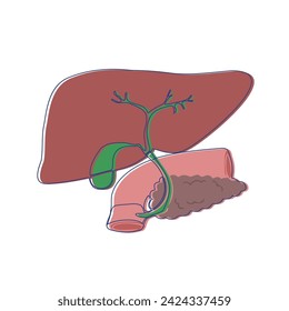 Drawing of the liver with the pancreas and duodenum. Minimalistic sticker. Medical design. Vector illustration.