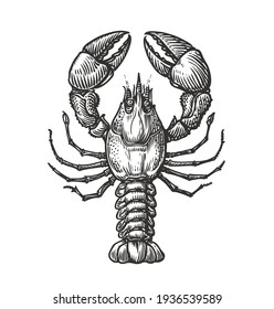 Crayfish Stock Vectors, Images & Vector Art | Shutterstock