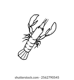 A drawing of a lobster on a white background