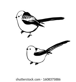 Drawing of long-tailed Tits on a white background, drawn by hand, vector graphics. Aegithalos caudatus.