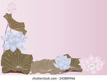 Drawing lotus flower background vector graphics and text