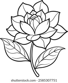 a drawing of a lotus flower with leaves