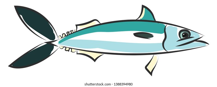 Drawing Mackerel Blue Fish Streamlined Body Stock Vector (Royalty Free ...